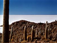 Isla Pescado in the Solar de Uyuni
